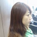 비비 헤어 이미지