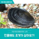 하현식품
