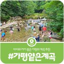 전제만목장 | [가평 얕은 계곡] 영유아·어린이 동반 가기 좋은 가평의 얕은 계곡 추천(2026)