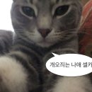 라미아까사플러스 이미지