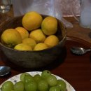 구좌 라파 김두성 할머니집 이미지