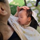 서영이 할머니네 네이버블로그