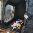 개암벌 용소 관광농원 캠핑장 | 2024년 3번째, 홍천 개암벌용소관광농원 캠핑장🏕️