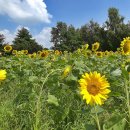 노송농원 이미지