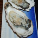 일송초밥 이미지