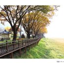 풍경이 머무는 곳 이미지