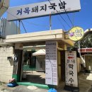 거목돼지국밥 | [부산/수영] 사직동 맛집이 수영 팔도시장에? 현지인 추천 부산 돼지국밥 맛집 '거목돼지국밥'