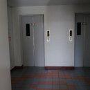 흥안대로 이미지