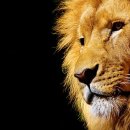 포산신협 앞 이미지