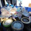 서울특별시 중부수도사업소 이미지