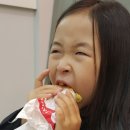 밧꼬일상 툭! 나주혁신도시 조세은식당/다이소오픈/김제동