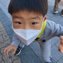 양천구 유아숲체험(숲놀) 가족축제 후기