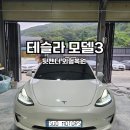진주자동차공업사 | 테슬라모델3 뒷펜더 찌그러짐 판금도색 당일수리 후기! *수오공업사*