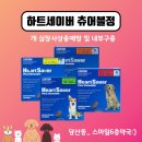 스마일6층약국 이미지