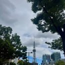 루나이비인후과의원 | [나고야/일본] 리프레시 여행 3