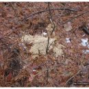 성애양로원 이미지