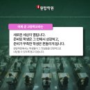 영어반(첫걸음) 이미지