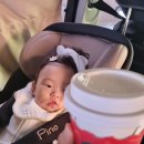 시민공원 숲해설가의 집 | 아이랑[주말나들이]▶️[부산시민공원] 숲체험 가을 숲나들이 피크닉하기 좋은 곳