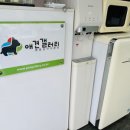 애견갤러리 강아지분양 애견샵 이미지