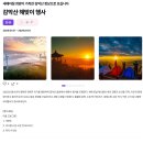 2025 해돋이 행사 티스토리
