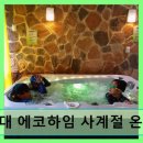 하조대에코하임펜션 | 양양 가족 펜션 추천 하조대 에코하임 사계절 온수풀 앤 스파 펜션 아이도 어른도 만족하는 온수풀