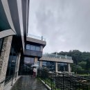 키스톤 | 남양주 어랑손만두국 &amp; 키스톤 스피시즈 카페 후기