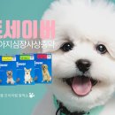 광장온누리약국 이미지