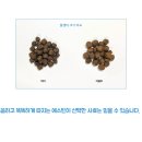 웰니스 클리닉 동물병원 이미지