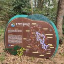 영도 봉래산 등산 후기 (+) 초보자 비추천 코스, 원조 영도 포항물회