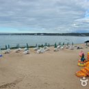 신양섭지코지해변 이미지