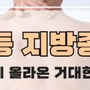 맘외과의원 이미지