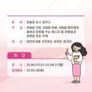 핑크스토리 이미지