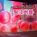 서울 실내 전시 추천 [핑크버블] 압구정 K현대미술관 관람후기