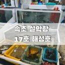 해성호 - 진도군 가계길 93-10 | 속초맛집 설악항 17호 해성호🐟 자연산회 포장후기