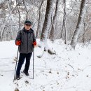 우면산3-12 이미지