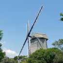 풍차식당 이미지