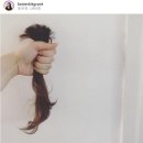 머리카락 이미지