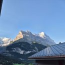 이동기 | 스위스 마지막날 공항이동기 + 여행후기