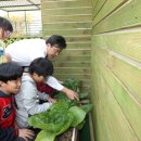 꿈이자라는지역아동센터(2) 이미지