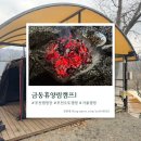 [포천 캠핑장] 겨울·우중캠핑 장박 모두 가능한 곳 - 금동휴양림캠프1