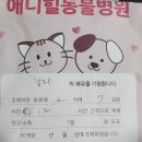 애니힐동물병원