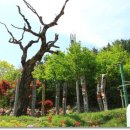 박영숙농장 이미지