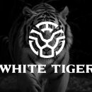 화이트 타이거 태권도 이미지