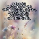 효창동제1경로당 Daum카페