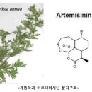 중의학으로 세계를 놀라게 한 노벨상 수상자 투유유(屠呦呦) 이미지