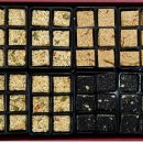 영농조합법인 홍천명품한과 이미지