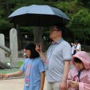 죽장초등학교 이미지