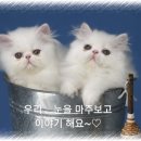 공감 이미지