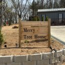 산과들 펜션 | 서울 근교 캠핑장 인천 강화도 바베큐하기 좋은 글램핑 펜션 메리트리하우스 내돈내산 후기