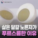 [식약지킴이] 내가 삶은 달걀 노른자가 푸르스름한 이유🥚 이미지